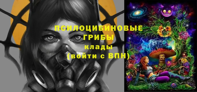 Галлюциногенные грибы GOLDEN TEACHER  Майкоп 