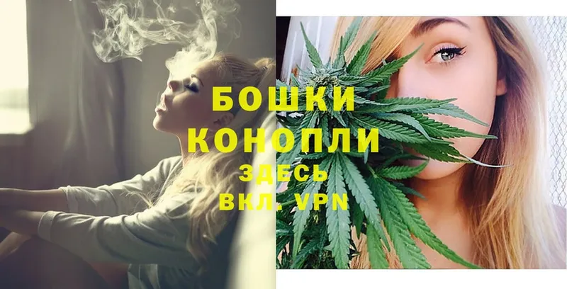 как найти закладки  Майкоп  Каннабис THC 21% 